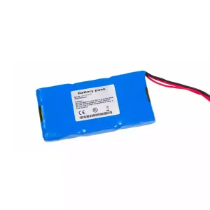 Singapore | Replacement battery for KADEY YASEN WP-YHD-3160 ECG-901