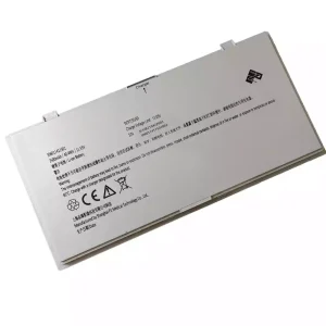 Genuine battery for PZ 306011411501 306011411502